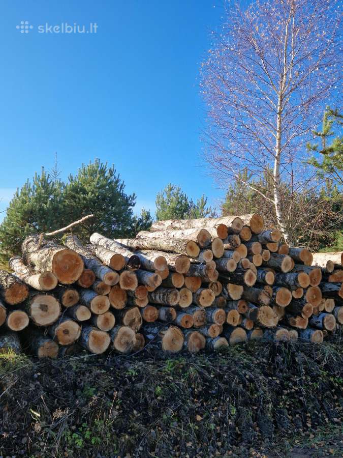 Akcija -malkos miškovežiu -rąstais, Yra sausų! - nuotraukos Nr. 4