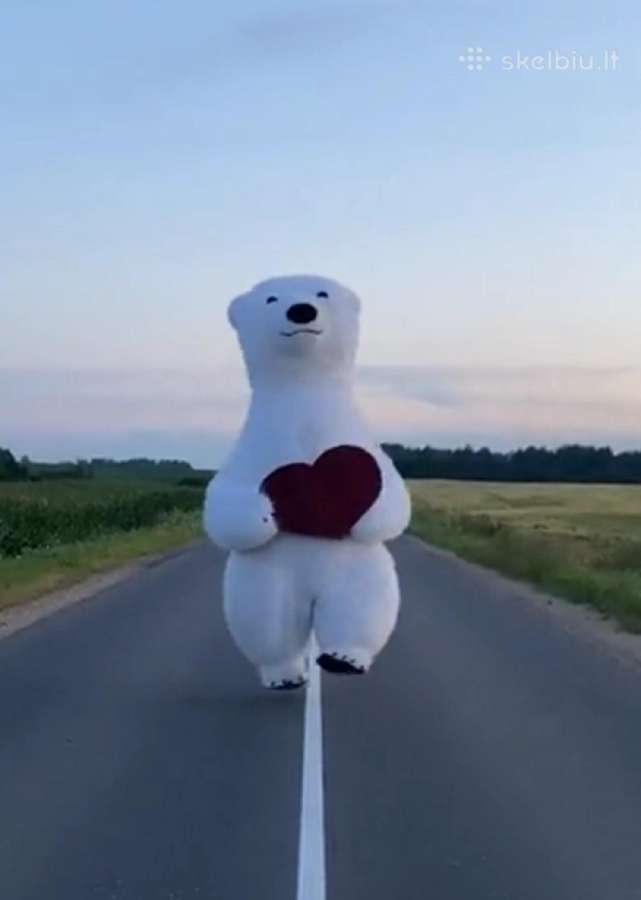 Baltos meškos sveikinimas jūsų šventėms - nuotraukos Nr. 9