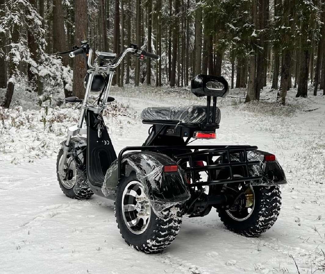 Elektrinis triratis čioperis citycoco motoroleris - nuotraukos Nr. 9