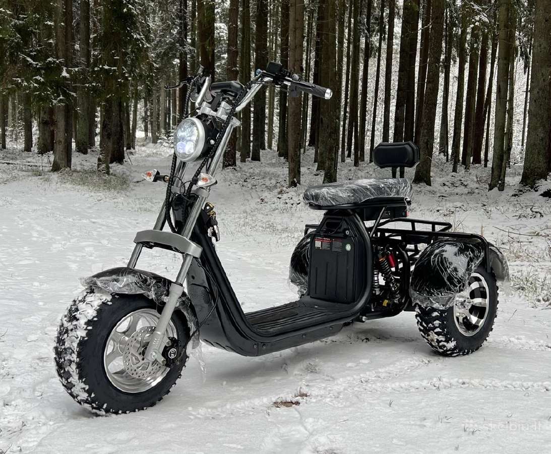 Elektrinis triratis čioperis citycoco motoroleris - nuotraukos Nr. 10