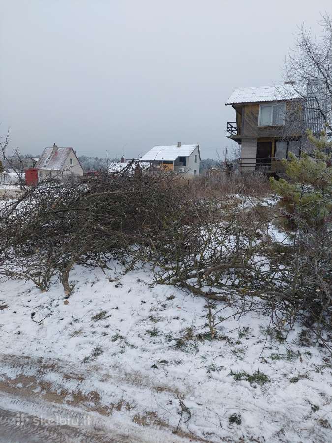 Sklypų valymas,šakų smulkinimas,žolės pjovimas. - nuotraukos Nr. 8