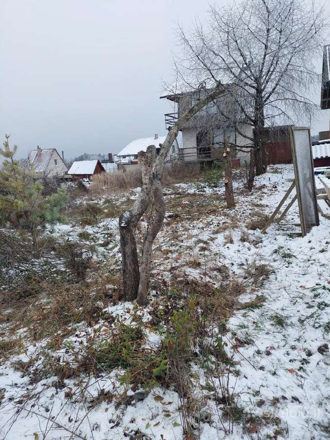 Sklypų valymas,šakų smulkinimas,žolės pjovimas. - nuotraukos Nr. 9