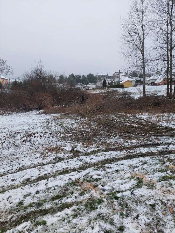 Sklypų valymas,šakų smulkinimas,žolės pjovimas. - nuotraukos Nr. 11