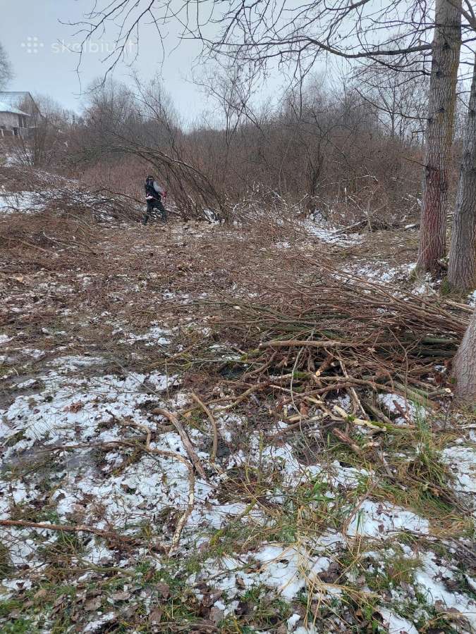 Sklypų valymas,šakų smulkinimas,žolės pjovimas. - nuotraukos Nr. 12