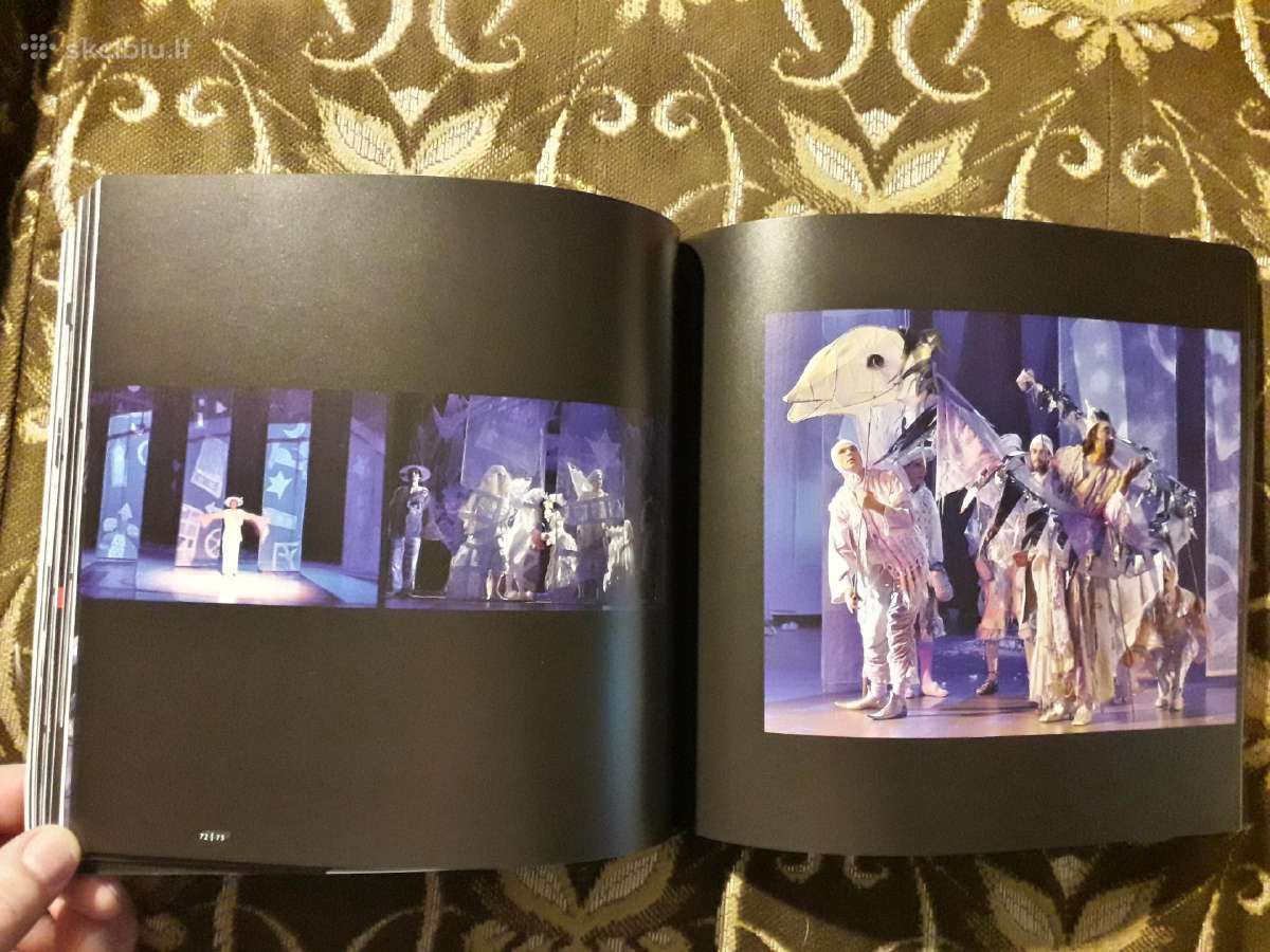 Virginija Idzelytė "Scenografija" 2012 metai - nuotraukos Nr. 11