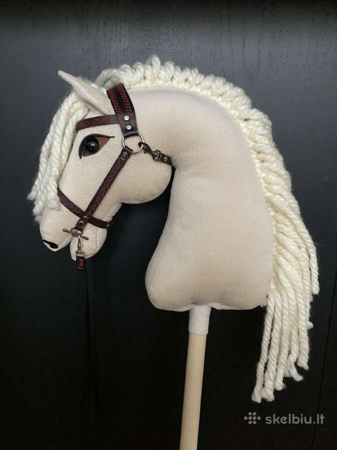 Hobby Horsing Arkliukai - nuotraukos Nr. 17
