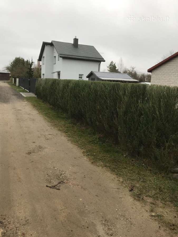 Medžių, krūmų, gyvatvorių pjovimas, genėjimas - nuotraukos Nr. 4