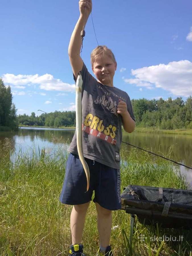 Sodybos nuoma - pramoginė žvejyba - nuotraukos Nr. 27