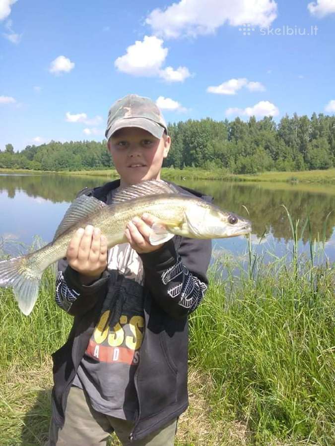 Sodybos nuoma - pramoginė žvejyba - nuotraukos Nr. 29