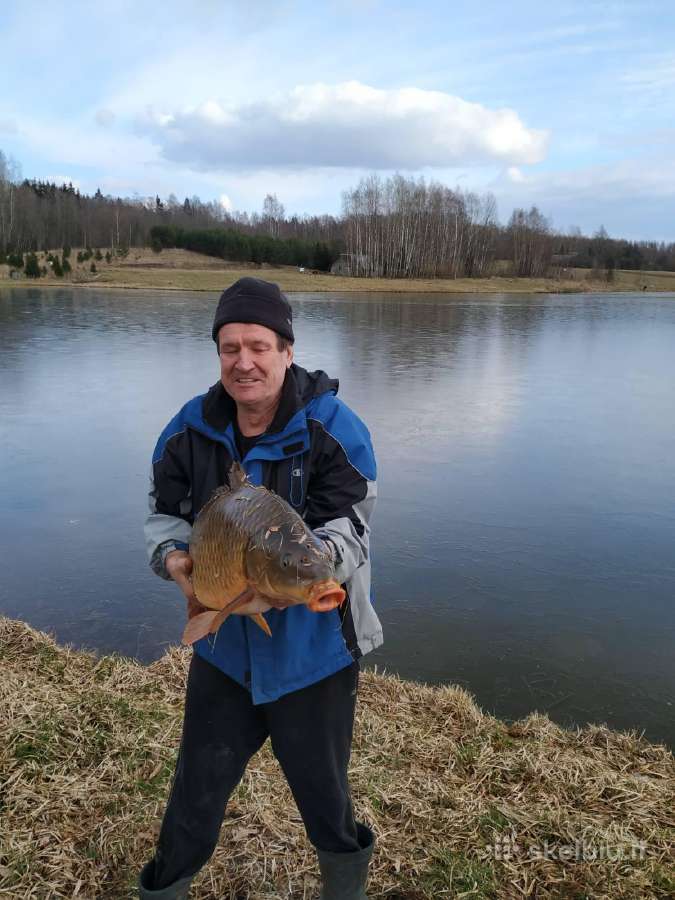 Sodybos nuoma - pramoginė žvejyba - nuotraukos Nr. 30