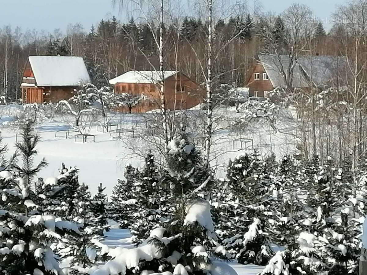 Sodybos nuoma - pramoginė žvejyba - nuotraukos Nr. 5