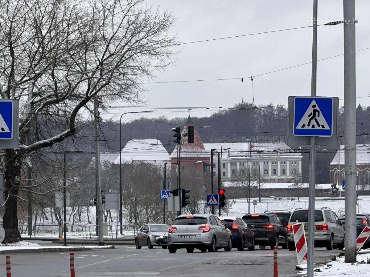 Jaukus butas su vaizdu į Kauno pili šalia centro - nuotraukos Nr. 14