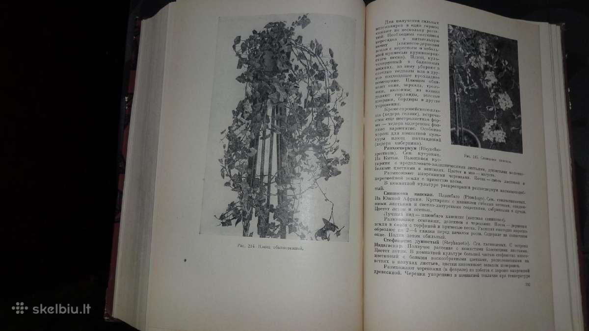 Parduodu antikvarines knygas - nuotraukos Nr. 6