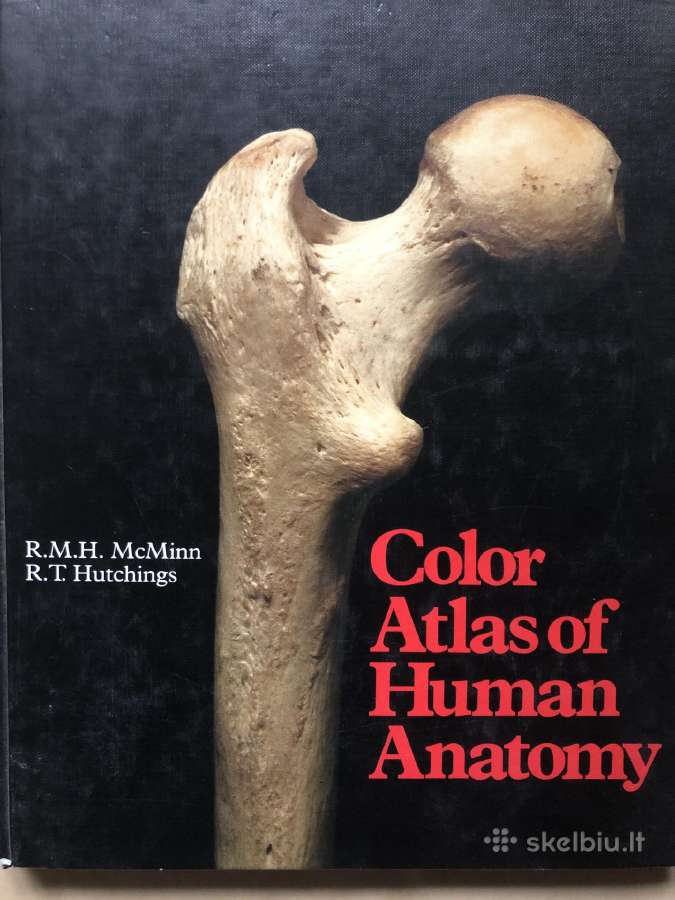 Atlasas
