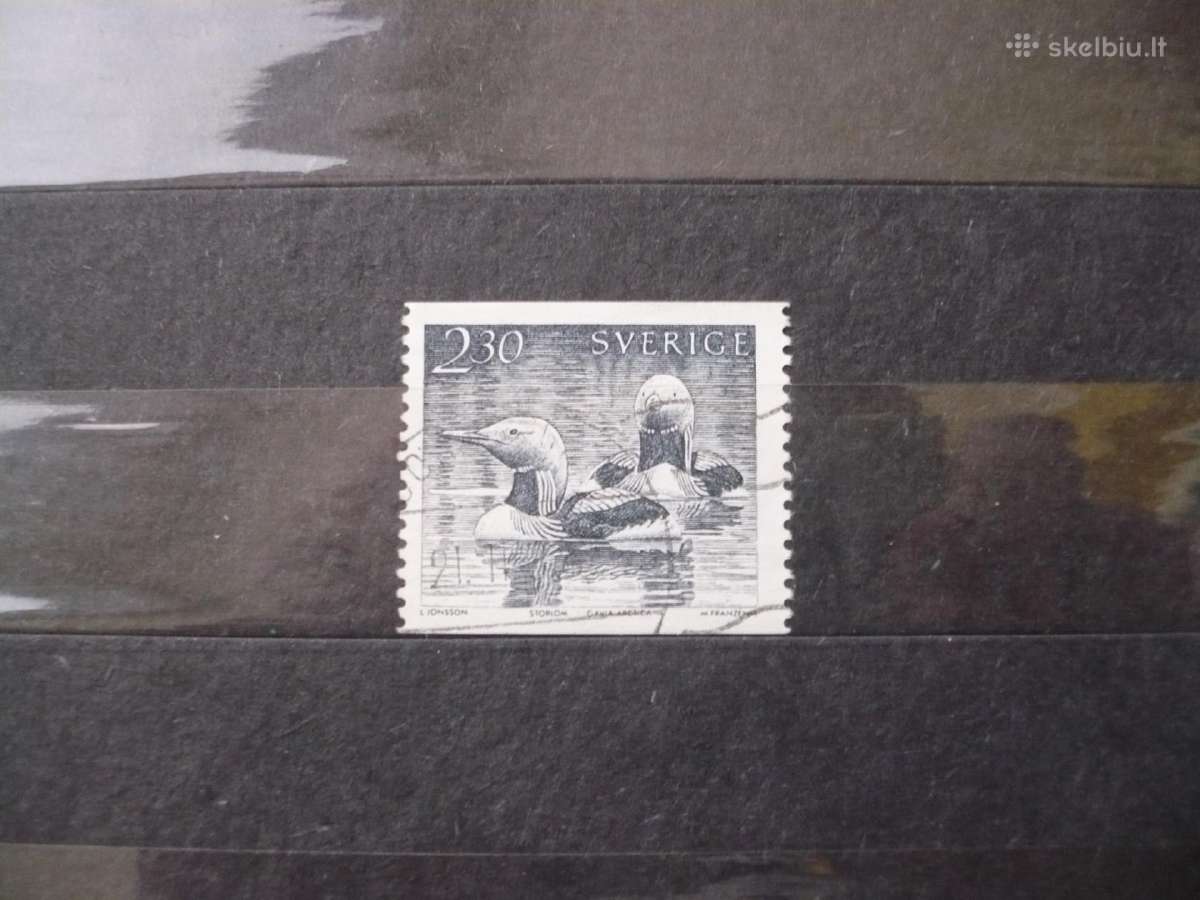1986 metų vandens paukščiai
