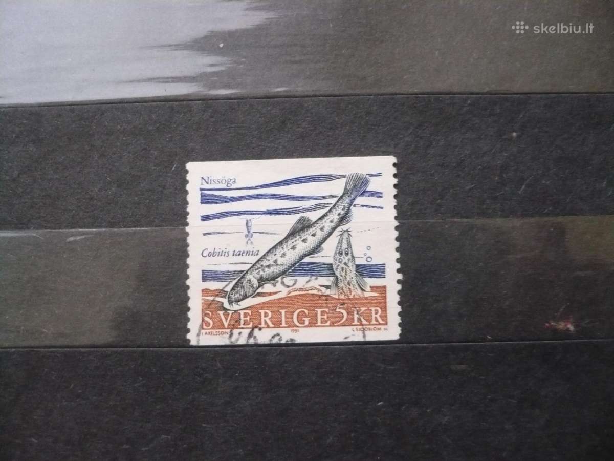 1991 Žuvys