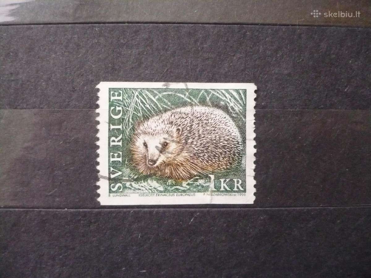 1996 m. laukiniai gyvūnai 3