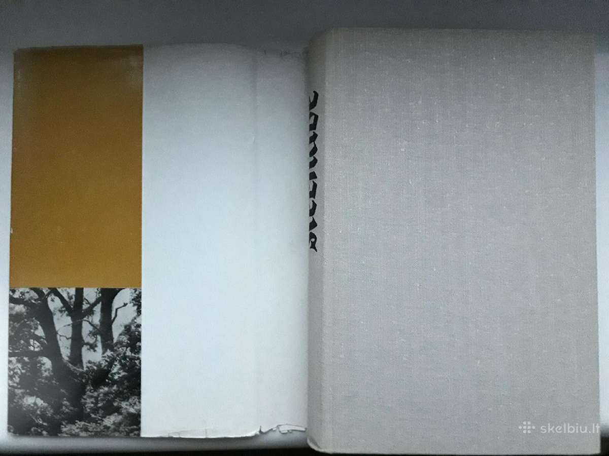 "Kernavė" 1972 metai - nuotraukos Nr. 2