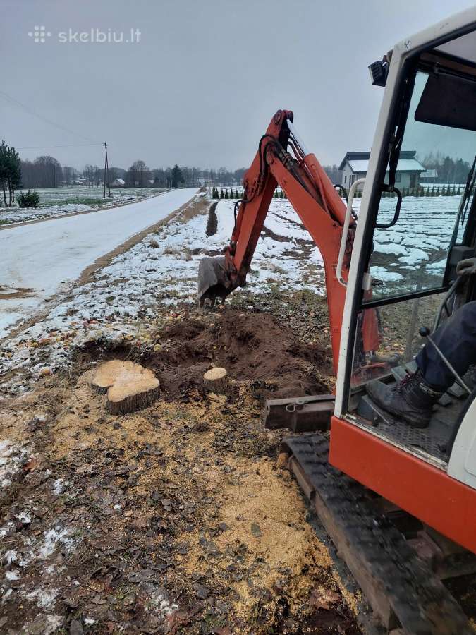 Sklypų valymas,šakų smulkinimas,žolės pjovimas. - nuotraukos Nr. 14