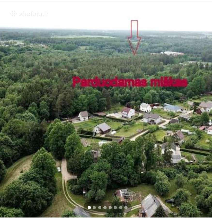 Parduodamas miškas