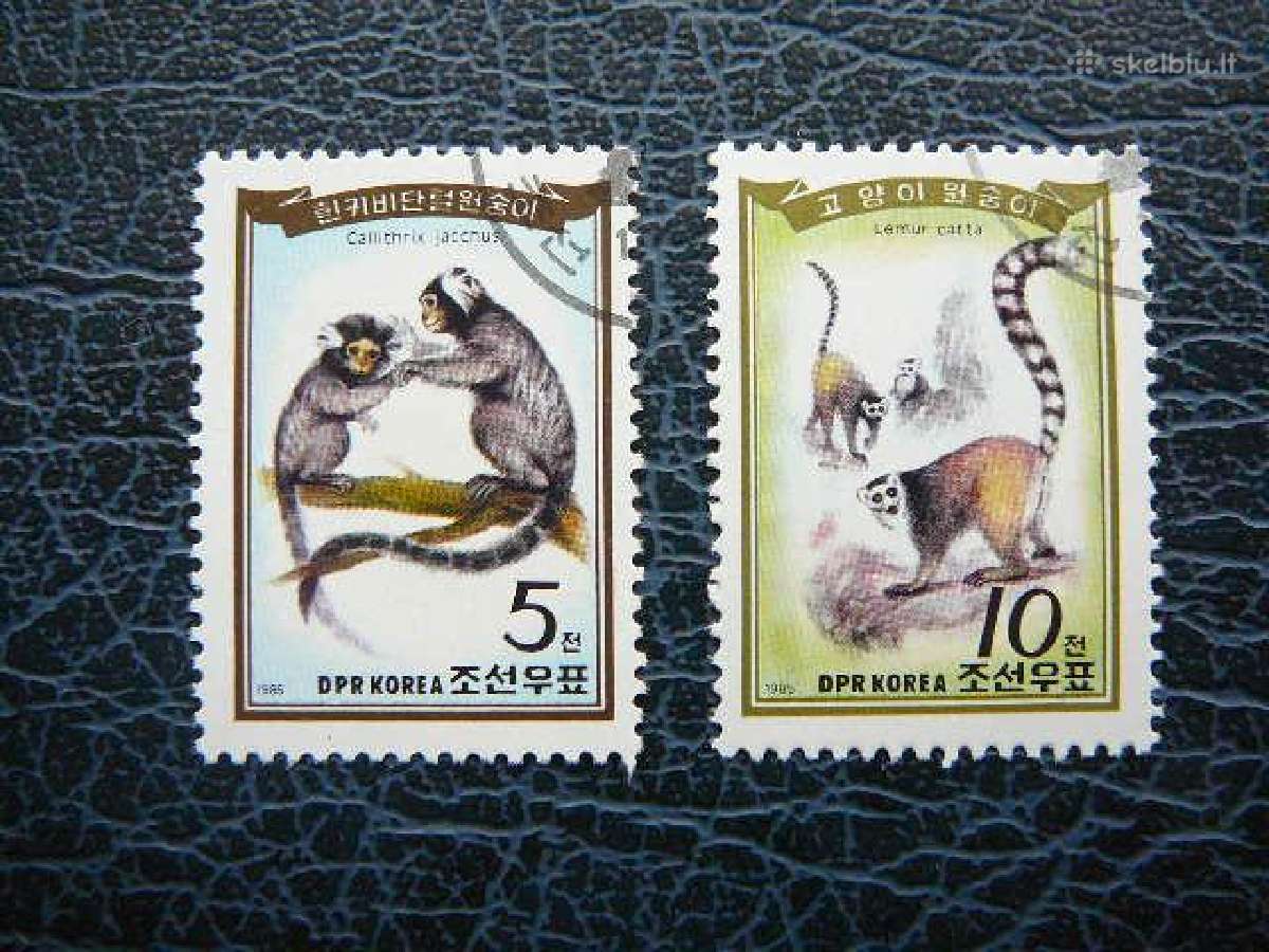 Bezdziones Koreja 1985 antsp. kr2657