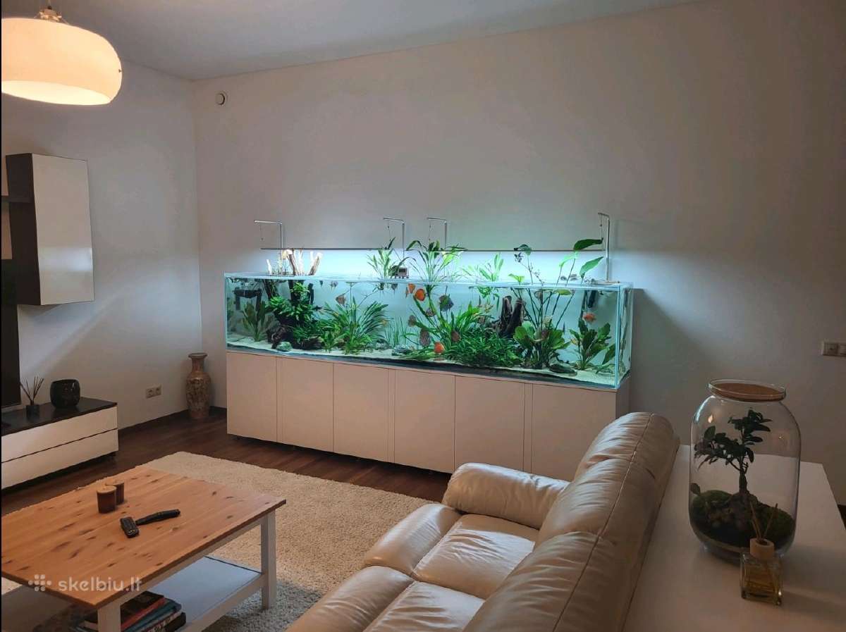 Akvariumų klijavimas, įrengimas, priežiūra - nuotraukos Nr. 28