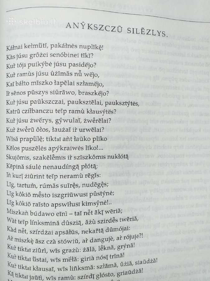 A. Baranauskas. Raštai. 1 tomas. Poezija - nuotraukos Nr. 3
