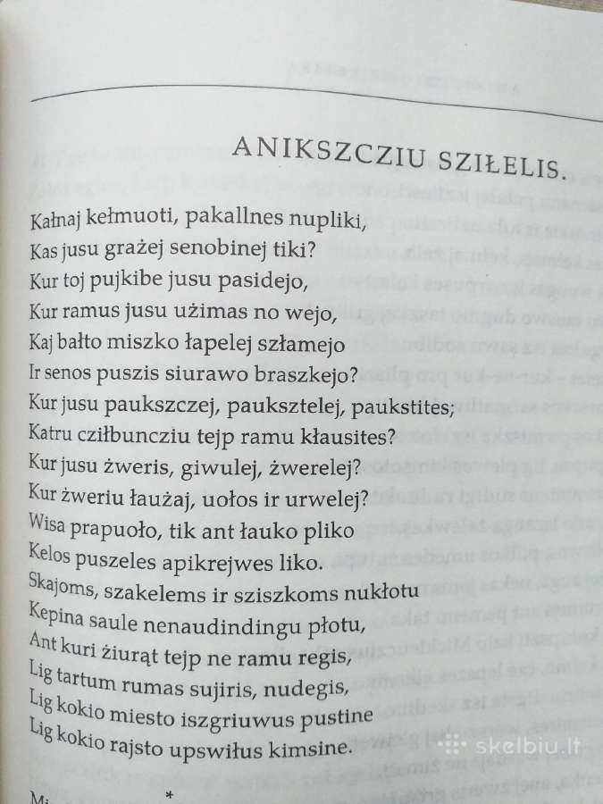 A. Baranauskas. Raštai. 1 tomas. Poezija - nuotraukos Nr. 4