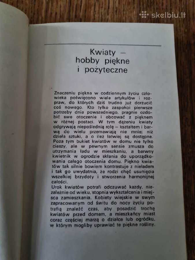 Kwiaty w ogrodku (lenkų k.) 1972 - nuotraukos Nr. 6