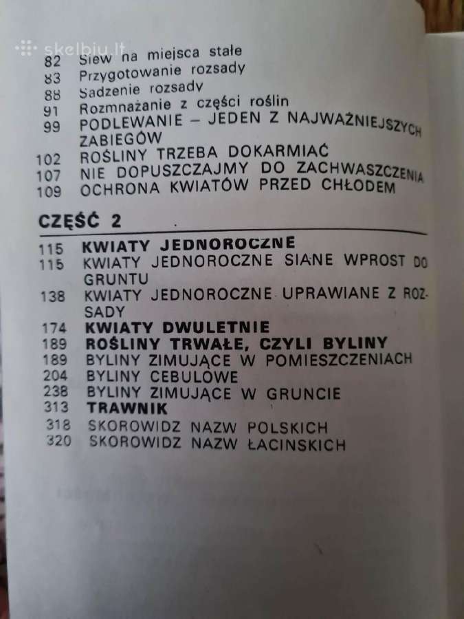 Kwiaty w ogrodku (lenkų k.) 1972 - nuotraukos Nr. 5