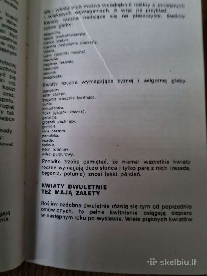 Kwiaty w ogrodku (lenkų k.) 1972 - nuotraukos Nr. 9