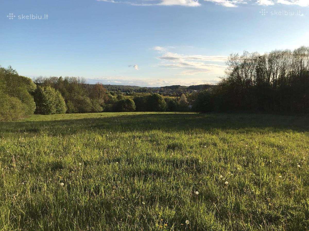 Žemė su mišku - nuotraukos Nr. 12