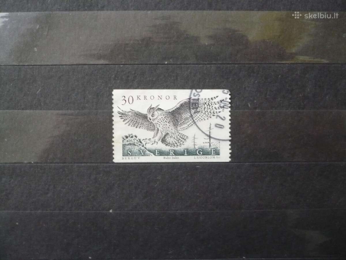 1989 m. apuokas