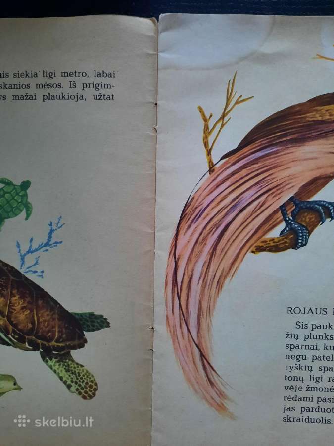 Knygelė "Ar pažįsti gyvūnus?" - nuotraukos Nr. 2