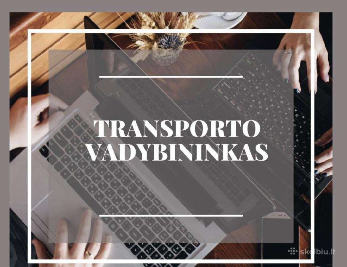 Transporto vadybininkas su licencija