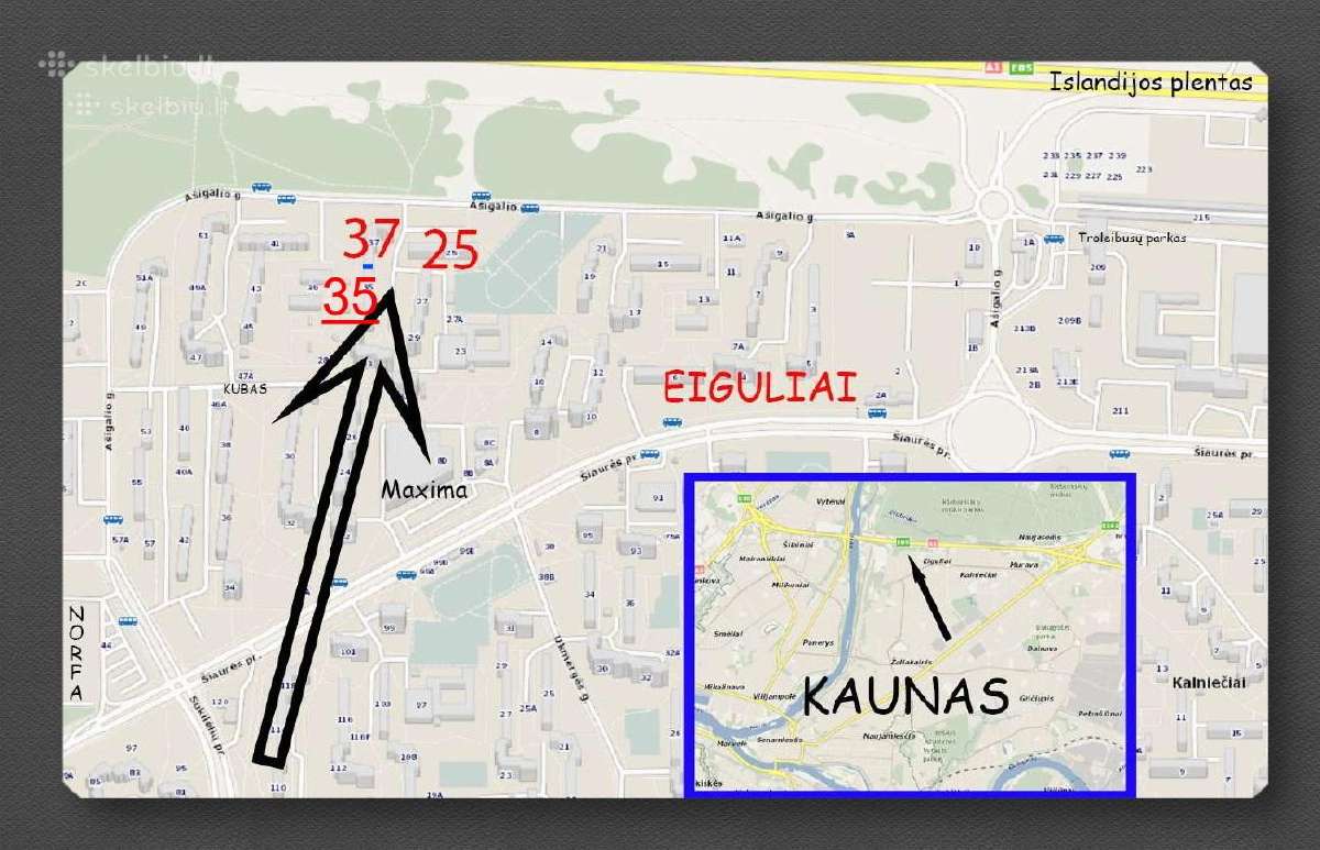 Varikliai kolektoriniai, maži - nuotraukos Nr. 8