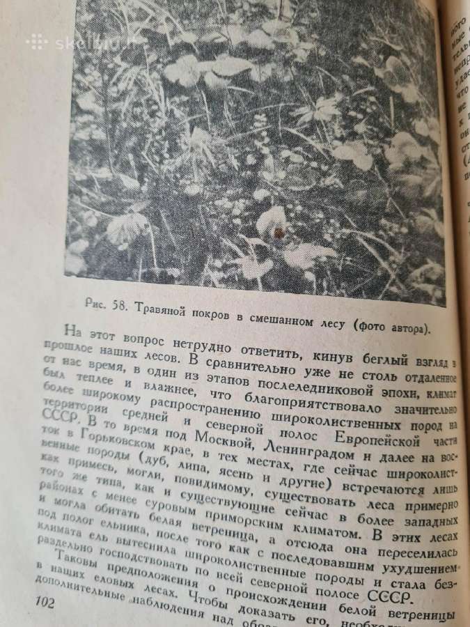 Весна и осень в жизни растений (rusų k.) - nuotraukos Nr. 6