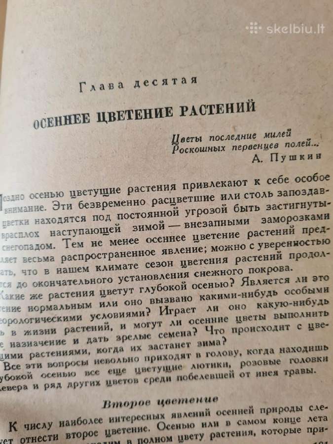 Весна и осень в жизни растений (rusų k.) - nuotraukos Nr. 7