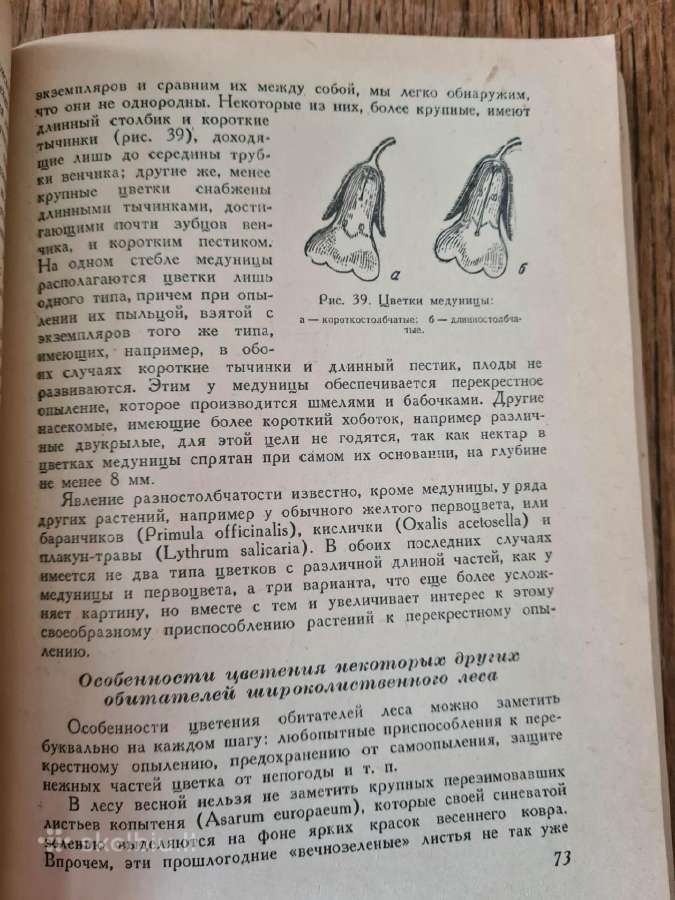 Весна и осень в жизни растений (rusų k.) - nuotraukos Nr. 9