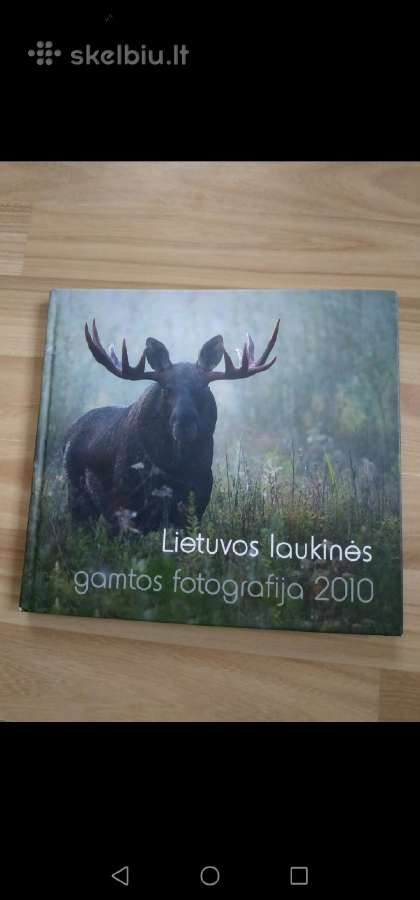 Daug Lietuvos, gyvūnų fotografija, senos miestų - nuotraukos Nr. 2