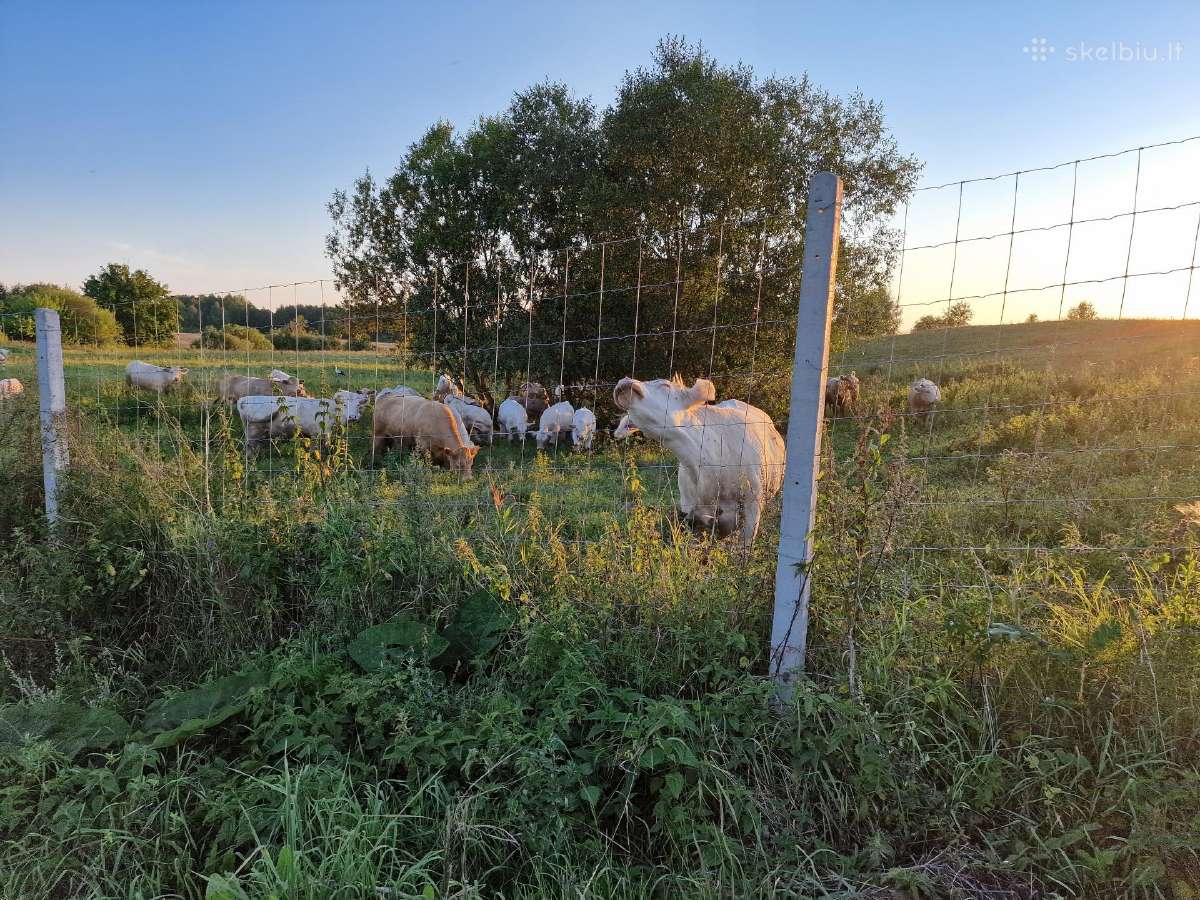 Tvoros saules parkams ,danielių elnių aptvarams - nuotraukos Nr. 3