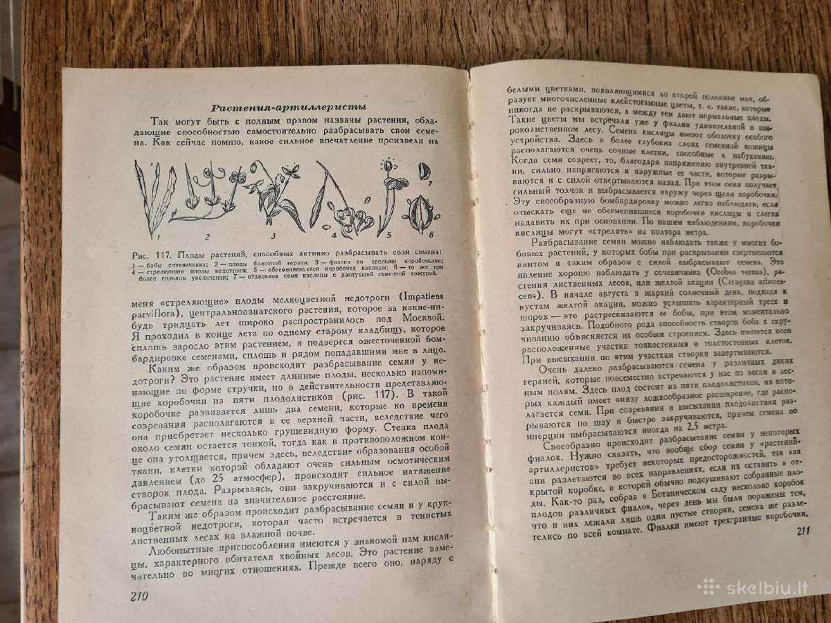 Весна и осень в жизни растений 1950 - nuotraukos Nr. 4