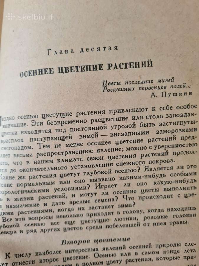 Весна и осень в жизни растений 1950 - nuotraukos Nr. 6