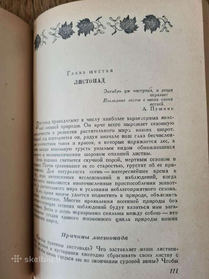 Весна и осень в жизни растений 1950 - nuotraukos Nr. 7