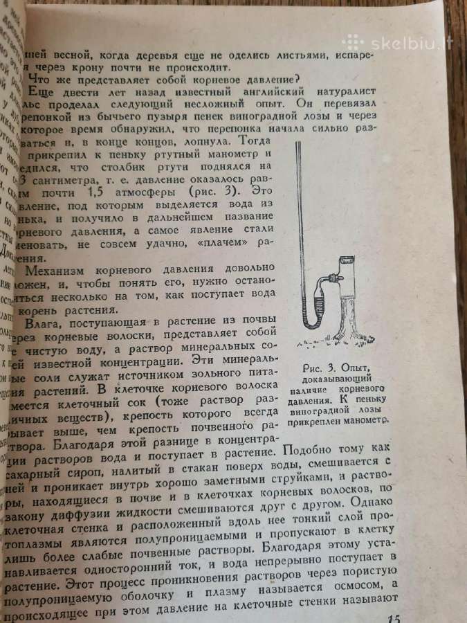 Весна и осень в жизни растений 1950 - nuotraukos Nr. 8