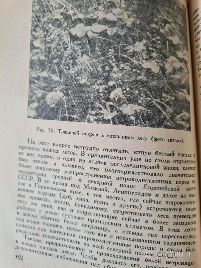 Весна и осень в жизни растений 1950 - nuotraukos Nr. 9