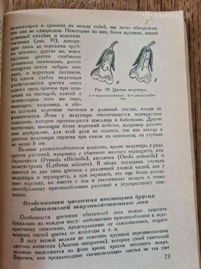 Весна и осень в жизни растений 1950 - nuotraukos Nr. 10