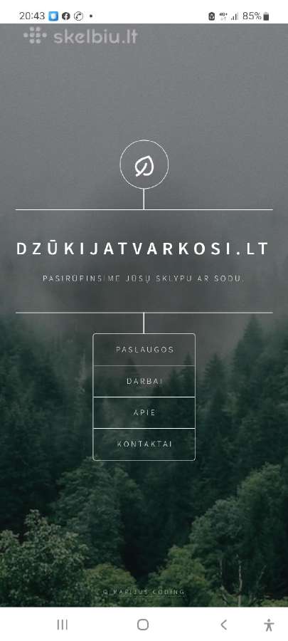 Sklypų valymas,šakų smulkinimas,žolės pjovimas. - nuotraukos Nr. 4