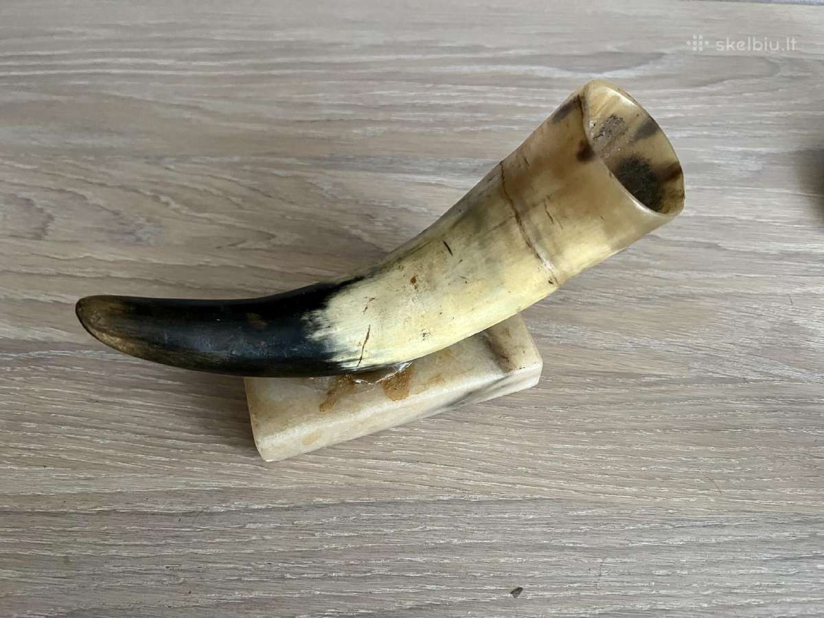 Bizono ragu kolekcija, pakaba is rago - nuotraukos Nr. 5