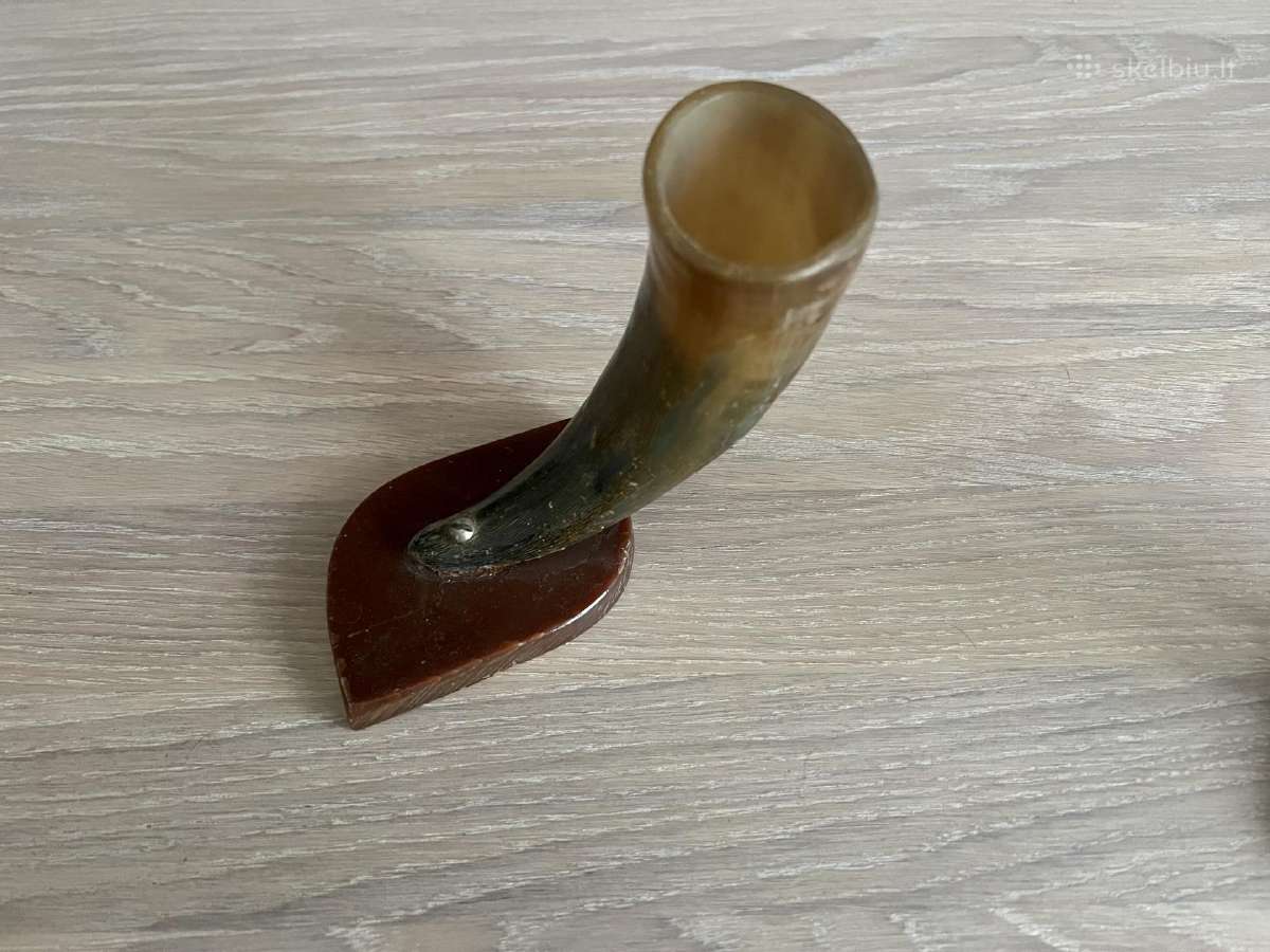 Bizono ragu kolekcija, pakaba is rago - nuotraukos Nr. 6